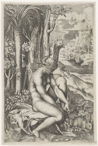 Venus, verletzt durch den Dorn einer Rose von Marco Dente