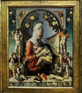 Die Jungfrau und das Kind mit acht Engeln, 1455 von Marco di Antonio di (1433 1478) Ruggero
