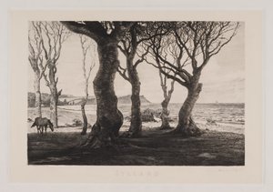 Jütländische Landschaft von Marcus Bech Fritz