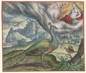 Fabel vom Pfau und der Nachtigall von Marcus Gheeraerts (I)