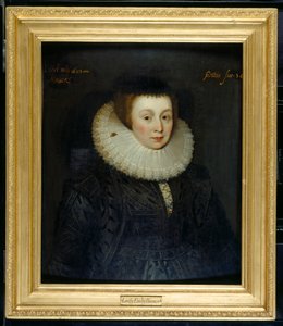 Lady Emily Howard von Marcus Gheeraerts
