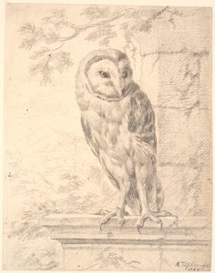 Baron von Stoschs Eule von Marcus Tuscher
