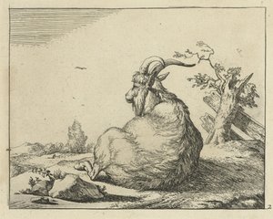 Bock sitzend bei umgefallenem Baum von Marcus de Bye