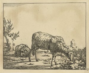 Weidendes Schaf und liegendes Schaf am Zaun