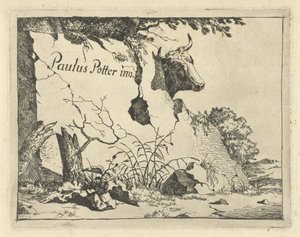 Kopf eines Rindes hinter einem Felsen von Marcus de Bye