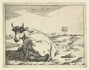 Liegende Kuh
