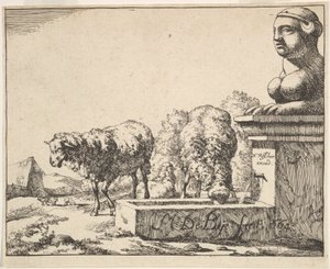 Schafe, aus einer Serie von 16 Platten, 1664