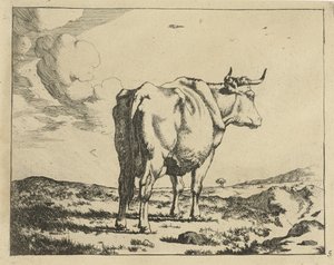Stehende Kuh von hinten gesehen von Marcus de Bye