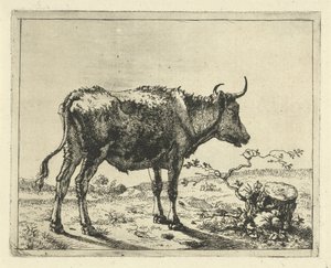 Stier stehend bei Baumstumpf