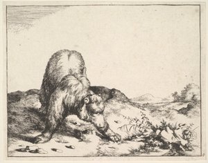 aus dem Set der Bären, ca. 1664