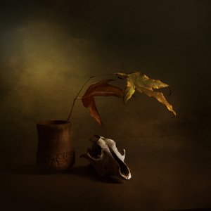 Dunkles Herbst Stillleben von Margaret Halaby