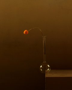 Minimalistische Orange Blume