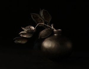 Stimmungsvolle Samenkapseln