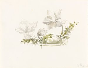 Studie eines Blumenarrangements von Margaret Louisa Herschel