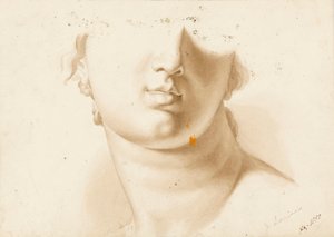 Studie der unteren Hälfte eines menschlichen Gesichts, möglicherweise eine Statue von Margaret Louisa Herschel
