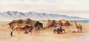 Arabisches Lager zwischen Homs und Palmyra von Margaret Thomas