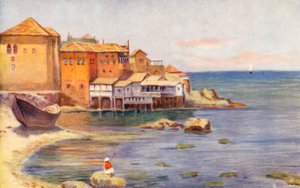 In Beirut von Margaret Thomas
