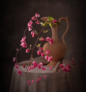 Elegantes Rosa Stillleben von Margareth Perfoncio