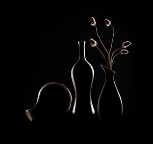 Elegante Stillleben Silhouetten