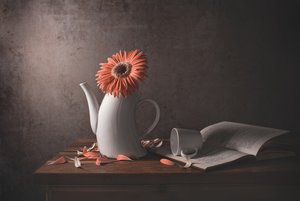 Orange Gänseblümchen zerbrochene Teekanne