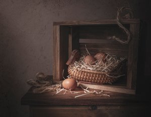 Rustikaler Entenkorb mit Eiern