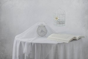 Gelassene Uhr Buch Vogelkäfig von Margareth Perfoncio