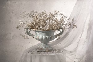 Shabby Chic Blumen Stillleben von Margareth Perfoncio