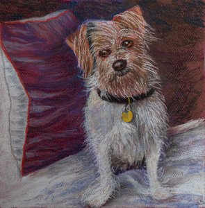 Mein kleiner Hund auf einem Seidenkissen. von Margo Starkey