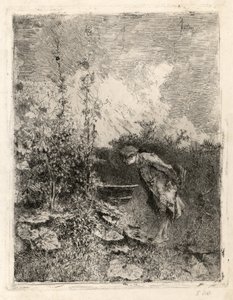 Der Botaniker