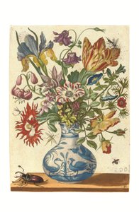 Tafel aus Blumenbuch (handkolorierter Stich) von Maria Sibylla Graff Merian
