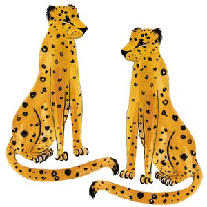 Leopardenpaar, 2020