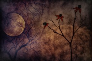 Geheimnisvolle mondbeschienene Blumen