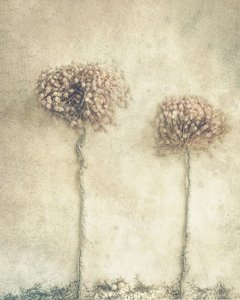 Rustikale getrocknete Blumen