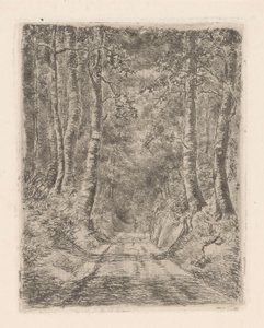 Wald entlang eines Hohlwegs von Marie Adolphine van der Goes van Dirxland