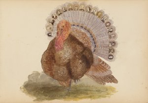 Das Madame B Album von Marie Blanche Hennelle Fournier
