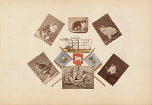 Das Madame B Album von Marie Blanche Hennelle Fournier