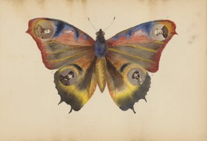 Das Madame B Album von Marie Blanche Hennelle Fournier