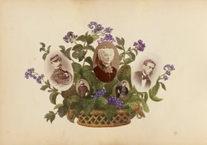 Das Madame B Album, 1870er Jahre von Marie Blanche Hennelle Fournier