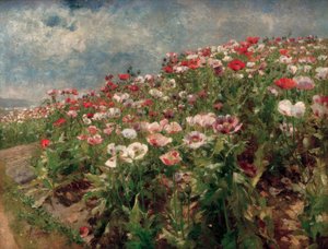 Blühender Mohn, Motiv aus St. Georgen bei Melk von Marie Egner