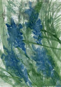 Blaue Blumen, 2022