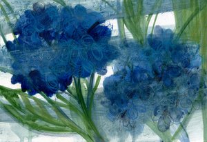 Blaue Hortensien, 2020