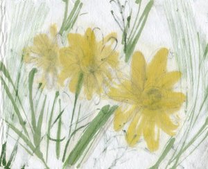 Gänseblümchen, 2020