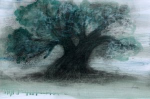 Olivenbaum