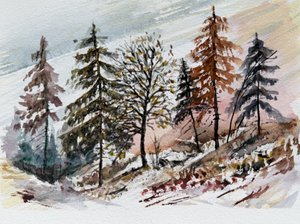 Morgendämmerung im verschneiten Wald