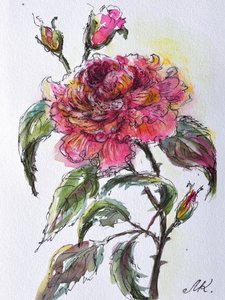 Aquarell Rosenblüte
