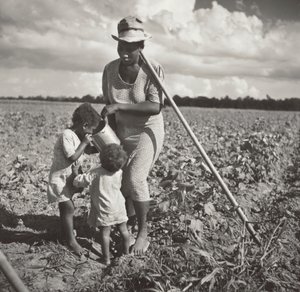 Schwarze Frau gibt ihren Kindern ein Getränk auf dem Feld, wo sie Baumwolle auf einem FSA-Kooperationsprojekt hackt (Allen Plantation) von Marion Post Wolcott