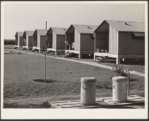 Unterkünfte für wandernde Gemüseernter, Osceola Arbeitslager, gebaut von FSA, Belle Glade, Florida von Marion Post Wolcott