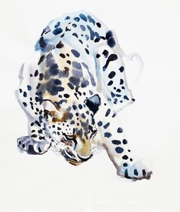 Arabischer Leopard, 2008 von Mark Adlington