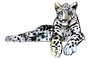 Arabischer Leopard, 2008 von Mark Adlington