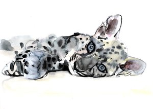 Arabischer Leopardenjunges, 2008